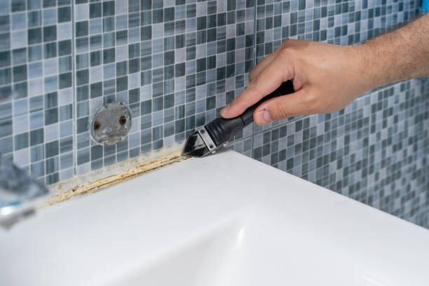 Best Mold Removal Specialists  in Hallstead, PA